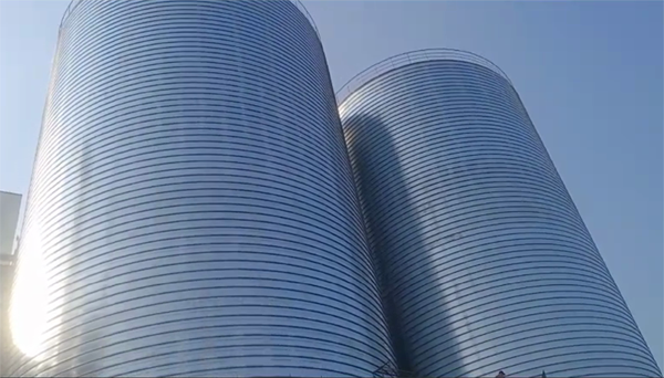 复兴2座混凝土高架卷板仓